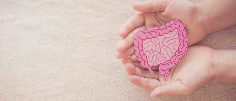 Are You Taking These Natural Remedies that Prevent and Treat Heart Disease, Diabetes and Other Diseases? 2 Get to Know Your Gut Microbiome, Bacteria, and Fungi